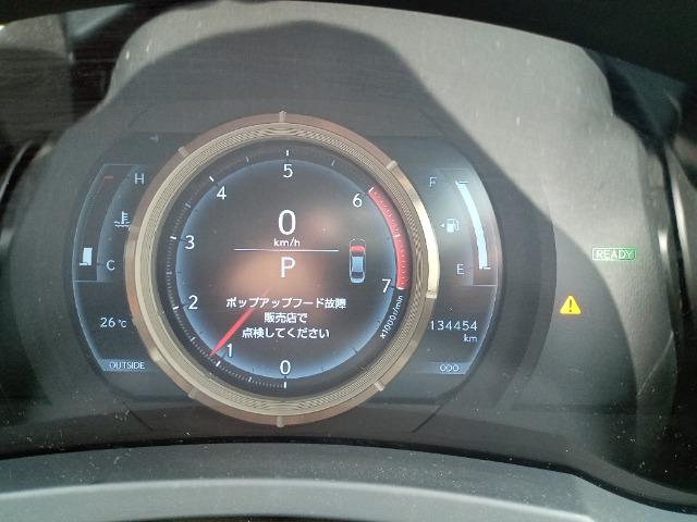 2013 LEXUS IS300h